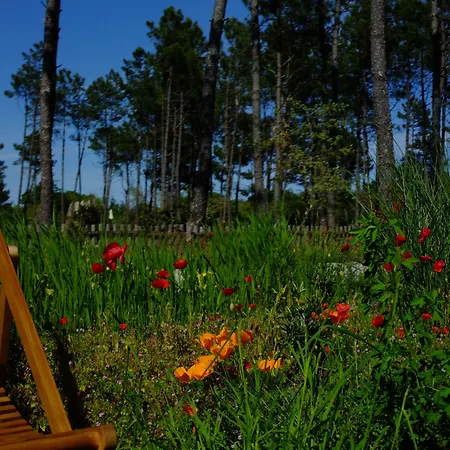 Cap'cabane Hotell Captieux