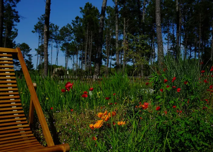 Cap'cabane Hotel Captieux