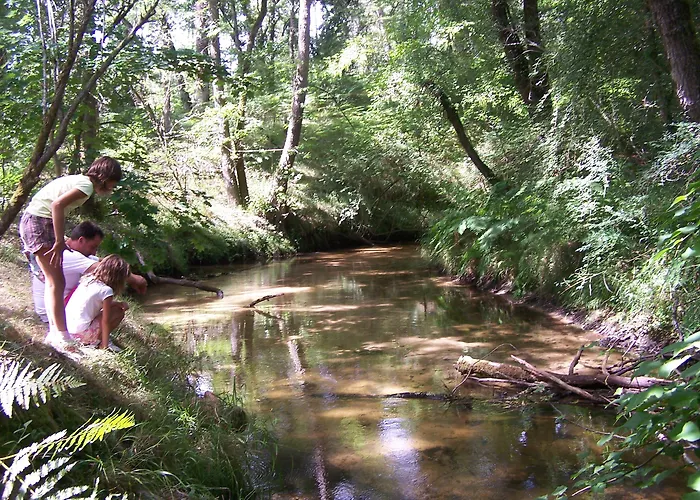 Cap'cabane 3* Captieux